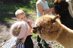IMG-20240121-WA0004