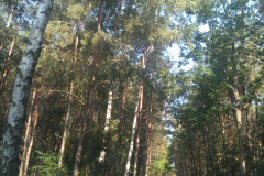 IMG_20210915_102753446